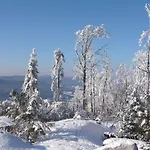 Koenig 招待所