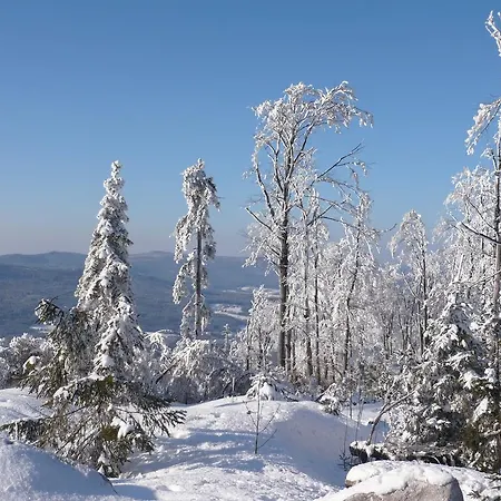 Koenig ゲストハウス