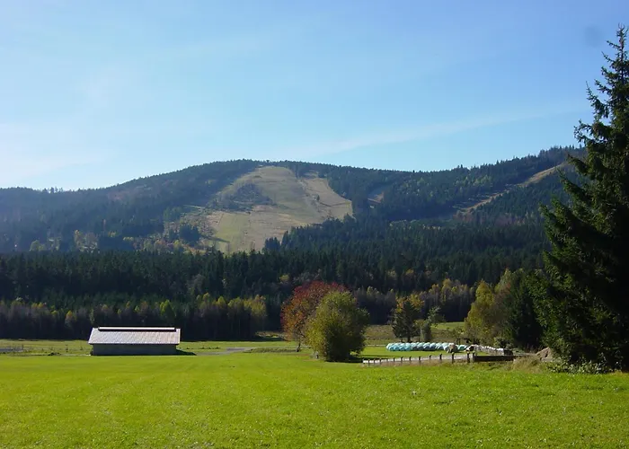 Koenig
